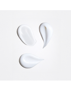 Crème Mains 50 ml au Lait d'Anesse bio 2