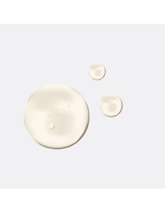 Gesichtsserum Coup d'Éclat 30 ml mit Bio-Eselmilch 2