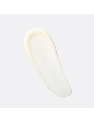 Körpermilch 250 ml - Eisenkraut | O Bon Savon