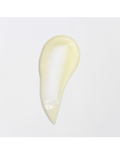 Lait Corporel à l'Huile d'Argan bio 250 ml – Fleur de Coton 2