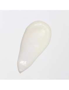 Körperlotion mit Bio-Arganöl 250 ml – Monoï 2