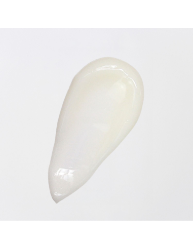 Körperlotion mit Bio-Arganöl 250 ml – Monoï