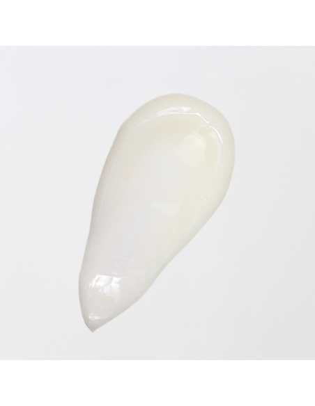 Körperlotion mit Bio-Arganöl 250 ml – Monoï