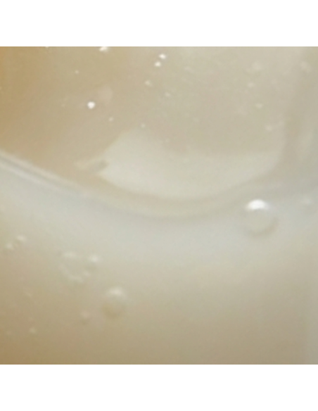 Duschgel 250 ml mit Bio-Eselsmilch | O Bon Savon