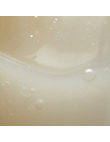 Duschgel 250 ml mit Bio-Eselsmilch – Japanische Blüte | O Bon Savon