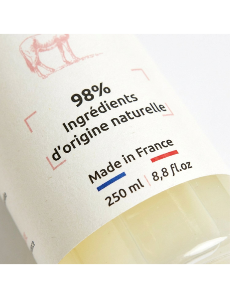 Duschgel 250 ml mit Bio-Eselsmilch – Japanische Blüte | O Bon Savon