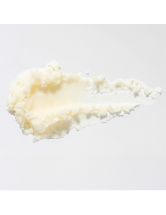 Sheabutter 100 ml – Parfümfrei 2